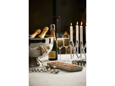Bastian Champagnebowle Dia 38 cm Blank stål