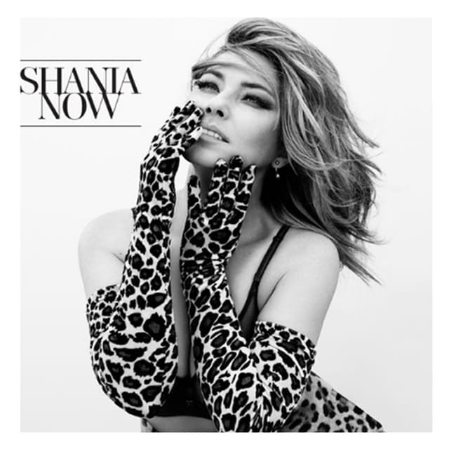 Shania Twain - Now (CD)