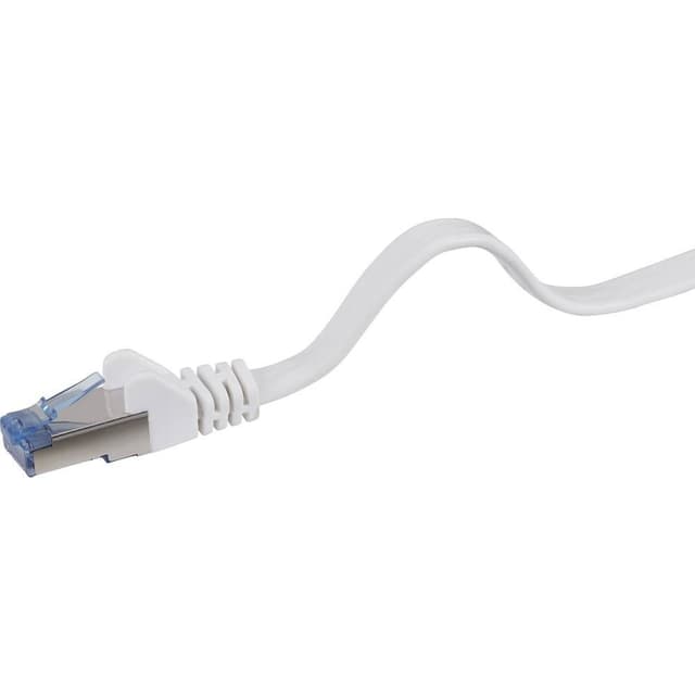 Renkforce RF-4149846 RJ45 Netværkskabel, patchkabel CAT