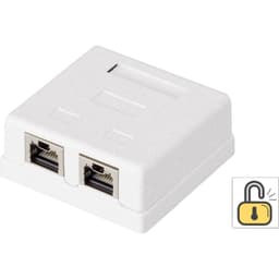 2 porte Netværksstikdåse Overflademonteret CAT 6