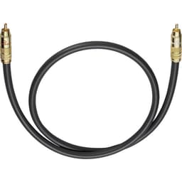 Phono Audio Tilslutningskabel [1x Cinch-stik - 1x