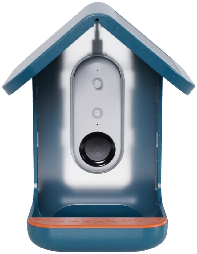 Bird Buddy solcelledrevet fuglefoderautomat med kamera (blå)