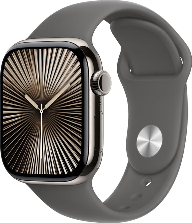 Apple Watch S10 42mm GPS+Cel (Natural Titanium/Stone Grey sportsrem) M/L