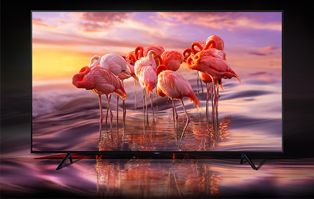 QLED tager afsæt i virkeligheden%. Flamingoer i farverige omgivelser
