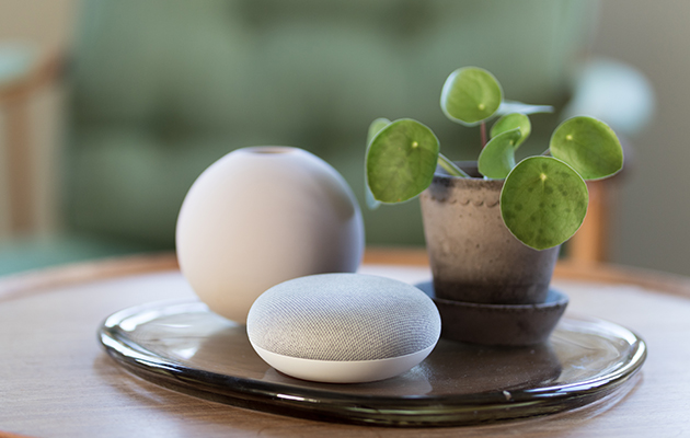 Google Assistant kan oversætte Google Home Mini smarthøjttaler ved siden af en plante