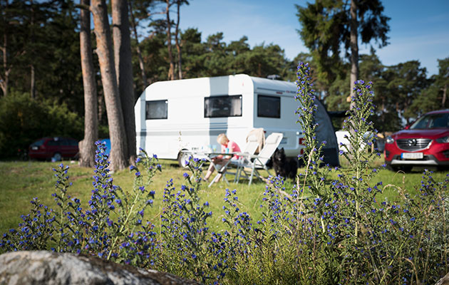 Nyd den friske luft Campingvogn og blomster