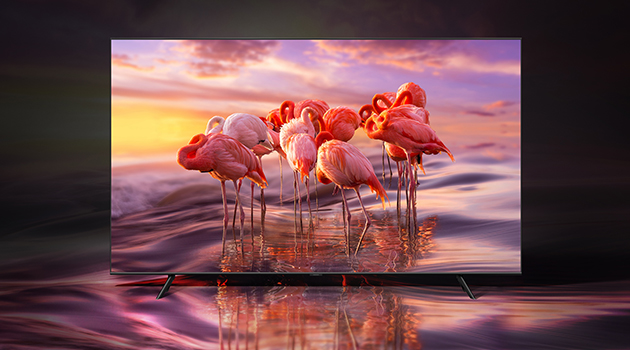 QLED har 100 % farvevolum QLED-TV med flamingo