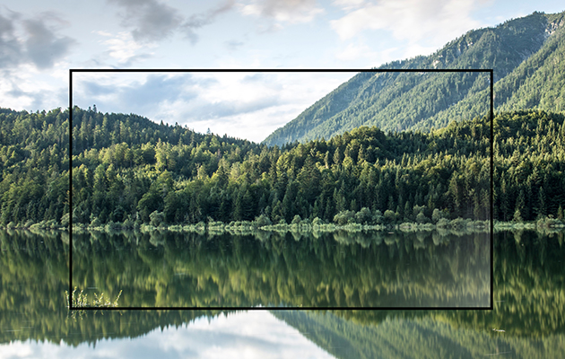 OLED er et smartere valg når du er optaget af miljø TV som går i et med naturen