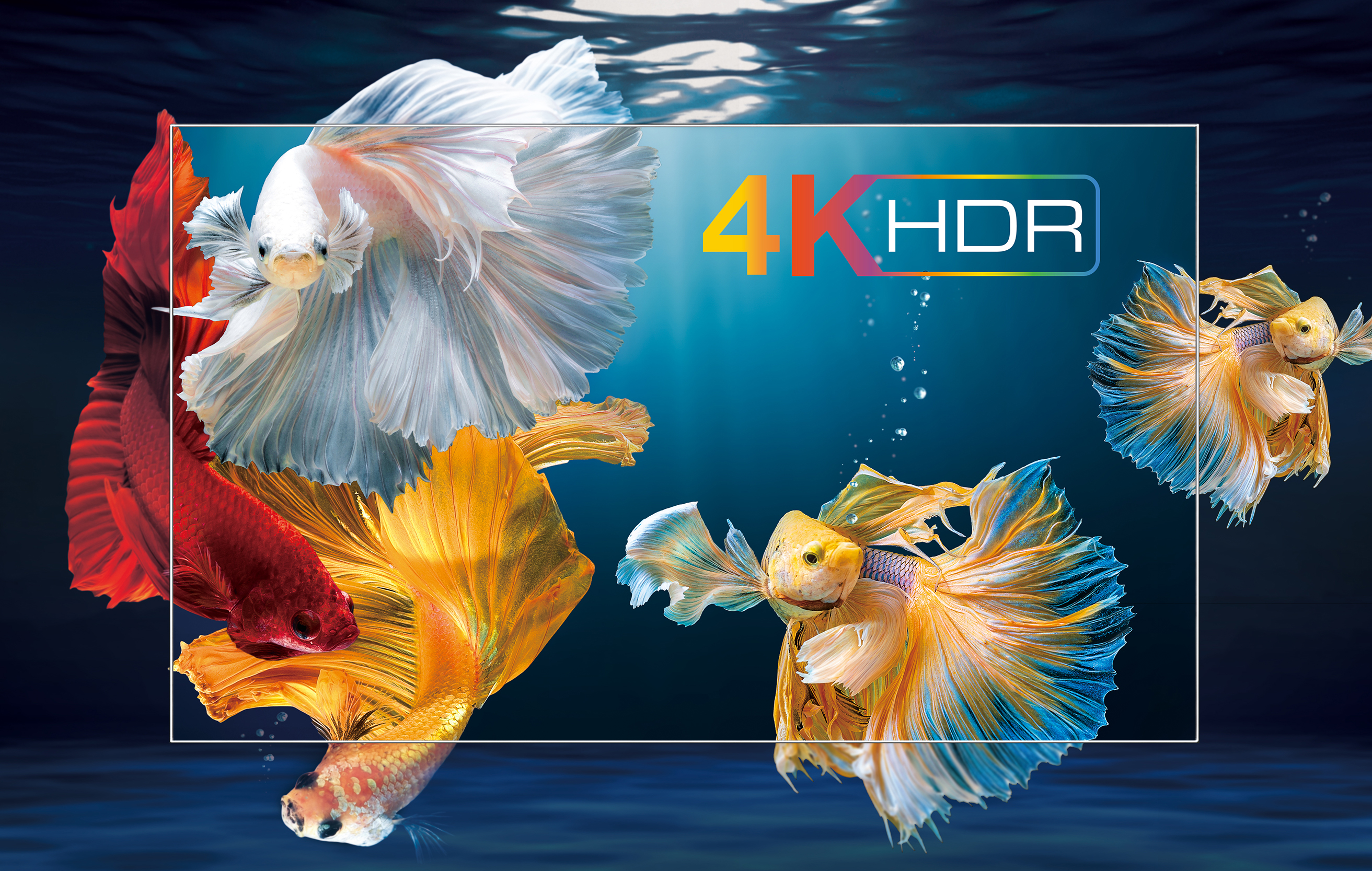 4K HDR: Forbedret kontrast, farver og detaljeniveau TCL-TV med guldfisk