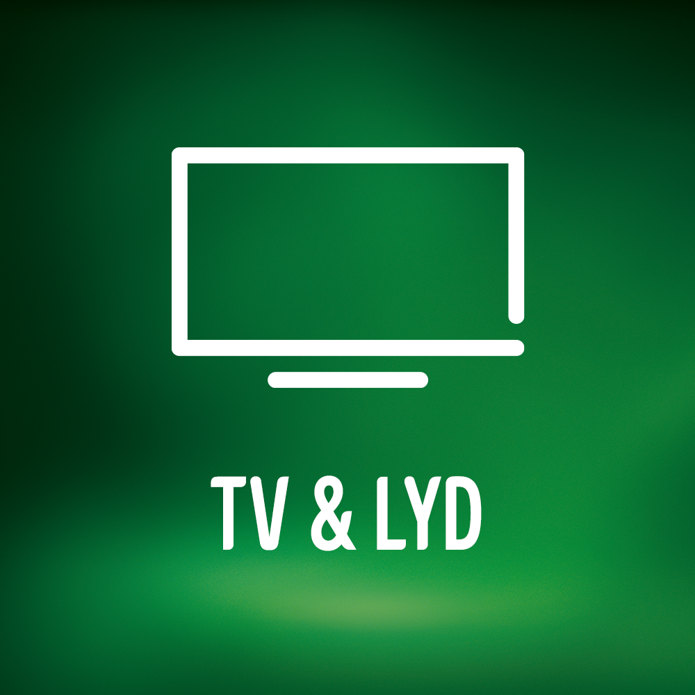 Elgiganten Services – TV og lyd