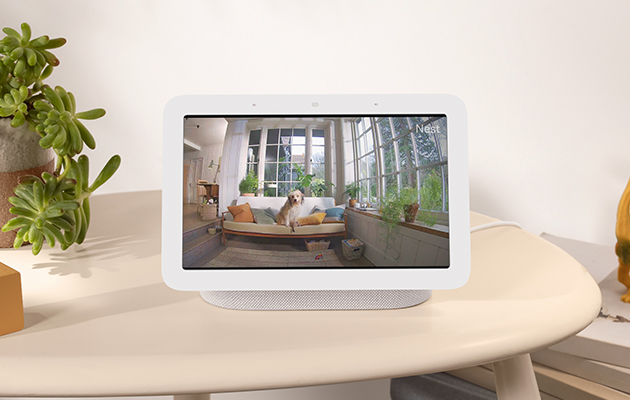 Se YouTube-videoer og meget mere Google Nest Hub viser et billede af en hund