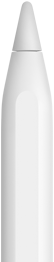 En Apple Pencil, der viser spidsen af enheden
