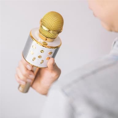 Forever BMS-300 Mikrofon med Bluetooth-højttaler, Guld