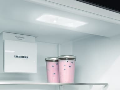Liebherr fridge/freezer CNsfd 5743-20 001