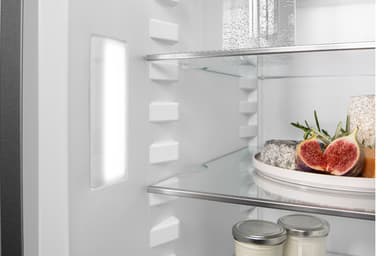 Fisher & Paykel kølefryseskab RF522BLXFDU5