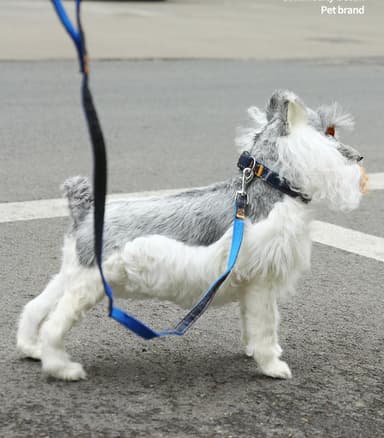 Hundekrave med snor (stor) Mørk denim