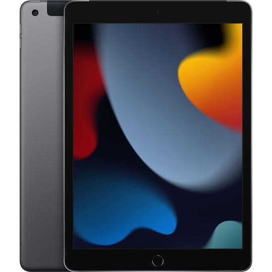 iPad 10,2" (2021) 256 GB 4G LTE (space gray)