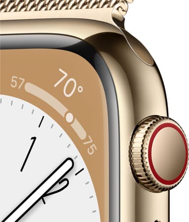 Apple Watch Series 8 41mm Cellular (gold stainless steel/gold milanese loop)