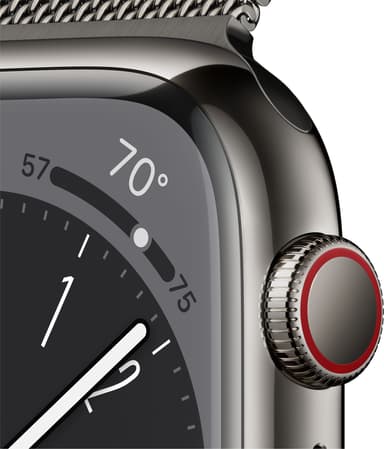 Apple Watch Series 8 45mm Cellular (graphite stainless steel/graphite milanese loop)