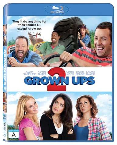 Grown Ups 2 - Drengerøve 2 (Blu-ray)