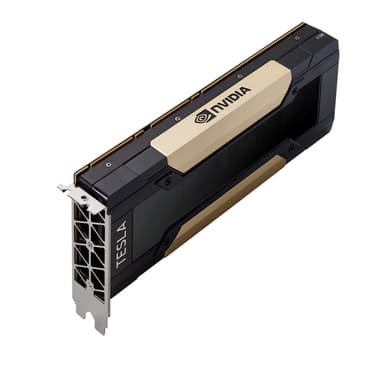 PNY TCSV100M-32GB-PB grafikkort NVIDIA Tesla V100 16 GB Høj båndbreddehukommelse 2 (HBM2)