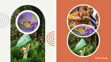 Adobe Photoshop Elements 2023 - PC Windows