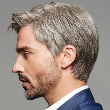 New Style Parykker til mænd Browne Grey
