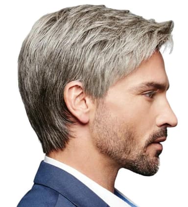 New Style Parykker til mænd Browne Grey
