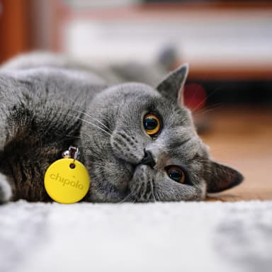 Chipolo One Bluetooth tracker (yellow)