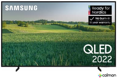 Samsung 65" Q60B 4K QLED Smart TV (2022) CALMAN