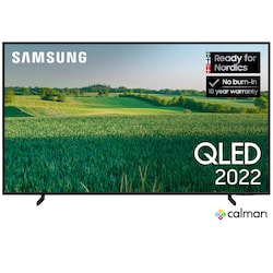 Samsung 55" Q60B 4K QLED Smart TV (2022) CALMAN