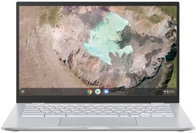Asus Chromebook C425 i5/8/128/ 14" bærbar computer (sølv)