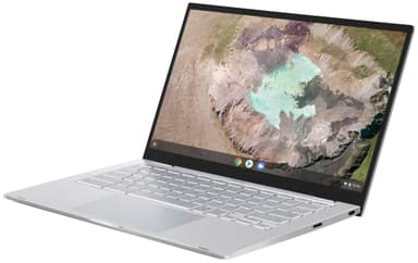 Asus Chromebook C425 i5/8/128/ 14" bærbar computer (sølv)