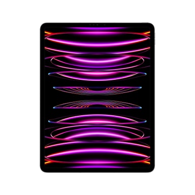 iPad Pro 12,9" 2022 1 TB WiFi + Cellular (space gray)