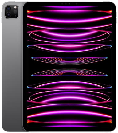 iPad Pro 11" 2022 256 GB WiFi (space gray )