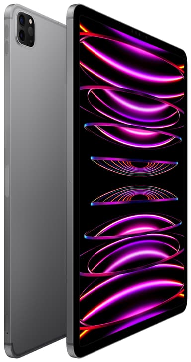 iPad Pro 12,9" 2022 128 GB WiFi + Cellular (space gray)