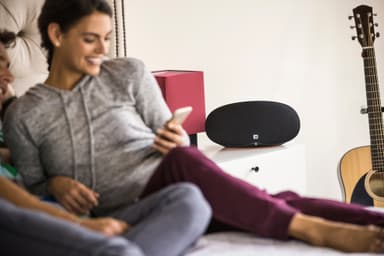 JBL Playlist trådløs højtaler (sort)