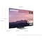 Samsung 55   S95B 4K OLED Smart TV (2022)
