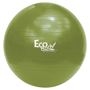 Ecobody Yoga ball 65 cm