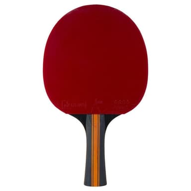 STIGA Bat 4-Star Vision Carbon