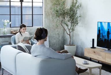 Sony trådløse hovedtelefoner MDR-RF895RK - sort