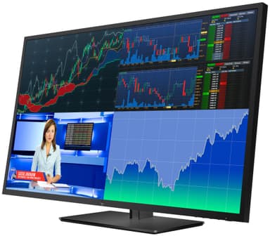 HP Z43 4K UHD 42,5" skærm