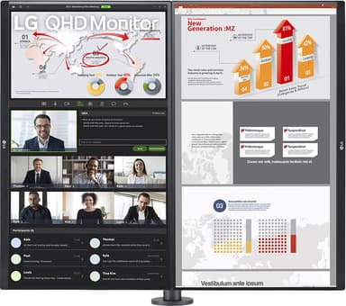 LG 27QP88D QHD 27” Ergo Dual monitor