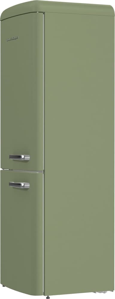 Gorenje Fridge/freezer combination 739931 (Olive)