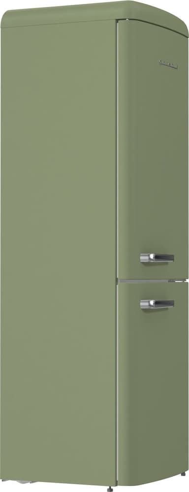 Gorenje Fridge/freezer combination 739927 (Olive)
