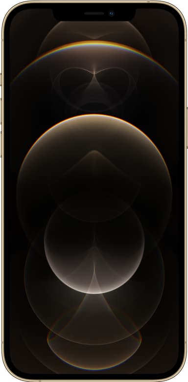 iPhone 12 Pro Max - 5G smartphone 128GB (guld)