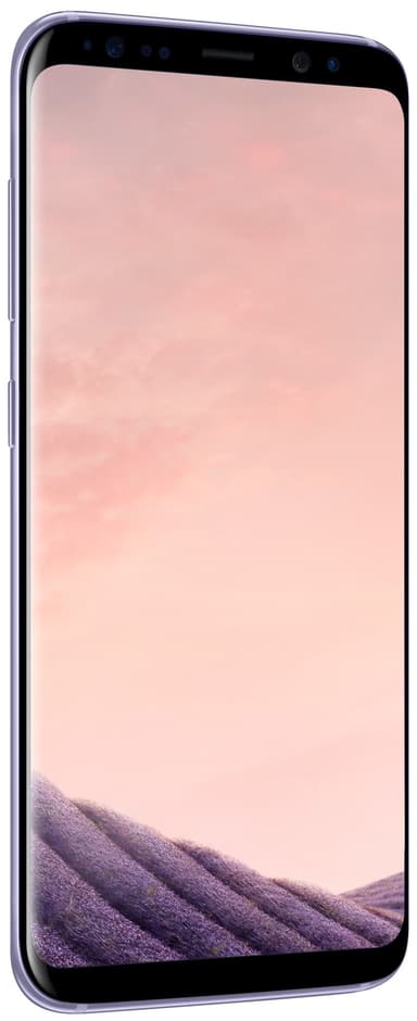 Samsung Galaxy S8 smartphone (grå)