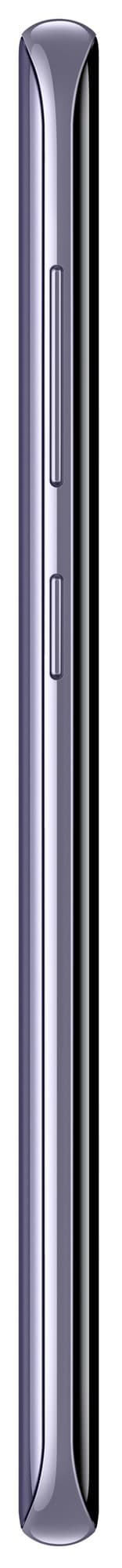 Samsung Galaxy S8 smartphone (grå)