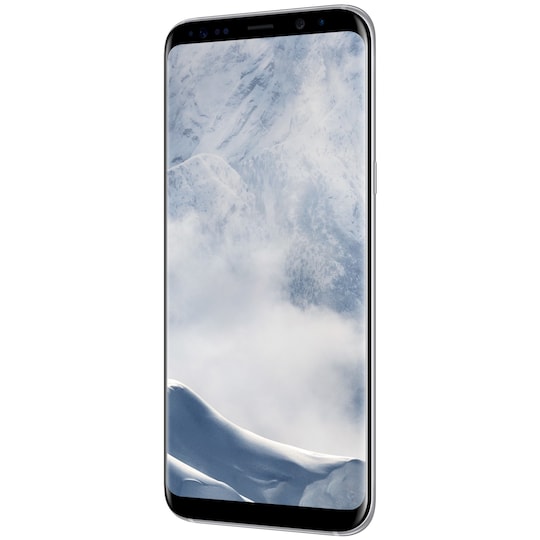 Samsung Galaxy S8 Plus smartphone (sølv)