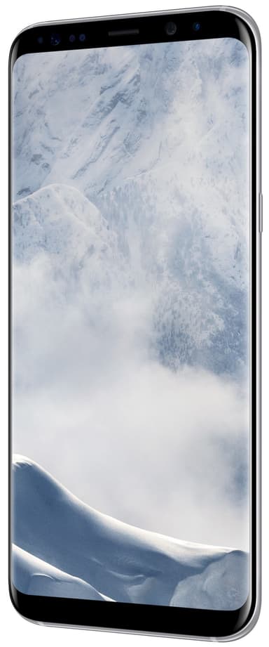 Samsung Galaxy S8 Plus smartphone (sølv)